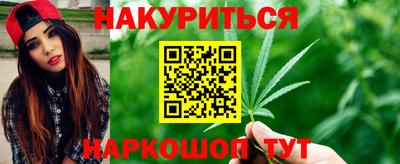 прущие грибы Гусев