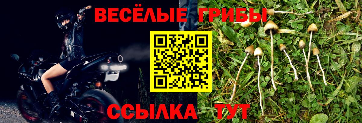 Мурманск  Псилоцибиновые грибы GOLDEN TEACHER  Вход с VPN  Псилоцибиновые грибы мицелий 